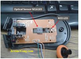 Home mouse repaair